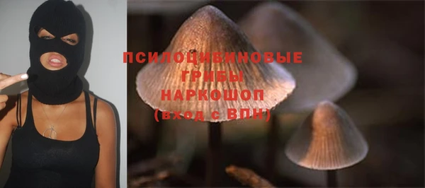 стаф Алексеевка