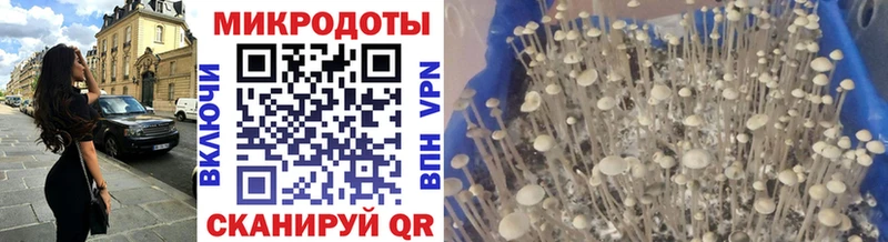Псилоцибиновые грибы прущие грибы  Калтан 